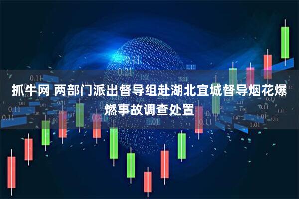 抓牛网 两部门派出督导组赴湖北宜城督导烟花爆燃事故调查处置