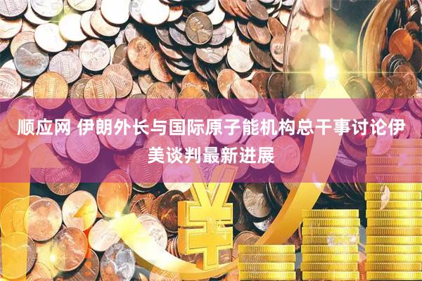 顺应网 伊朗外长与国际原子能机构总干事讨论伊美谈判最新进展