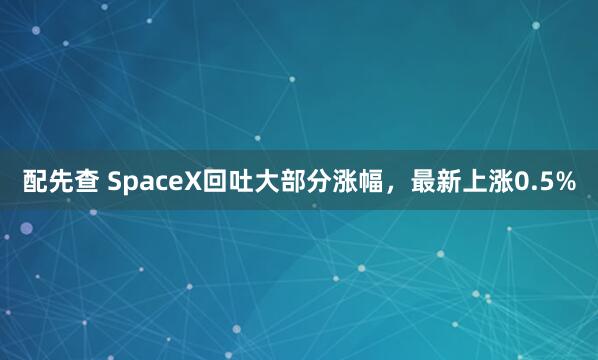 配先查 SpaceX回吐大部分涨幅，最新上涨0.5%